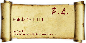 Pekár Lili névjegykártya