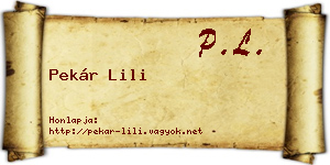 Pekár Lili névjegykártya